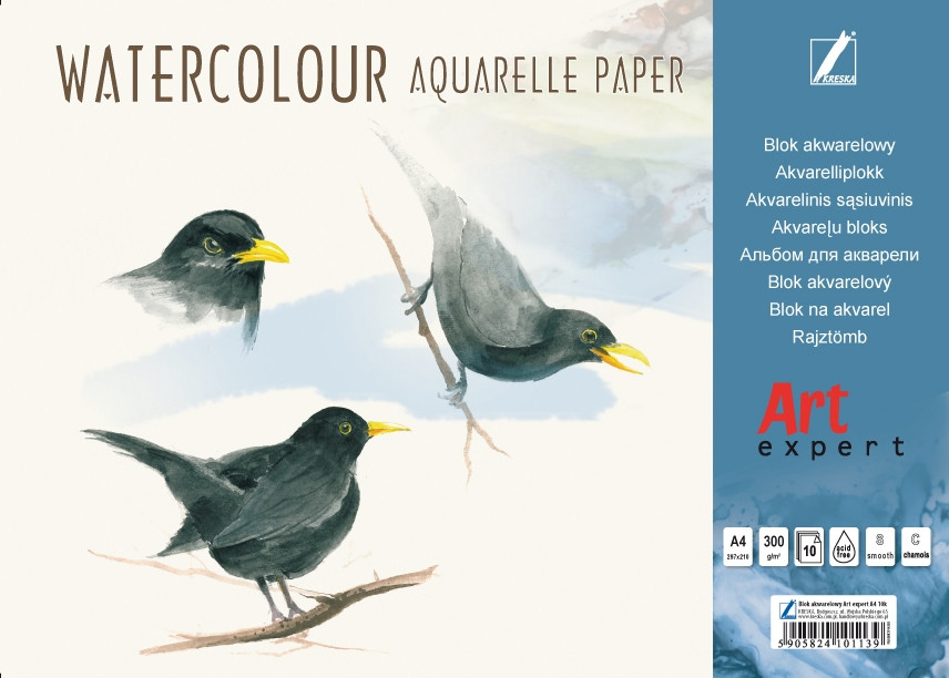 Blok akwarelowy A4 Art Expert 10k 300g biały Kreska